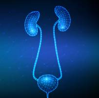 Urology