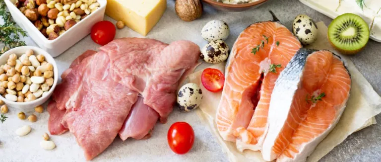 Protein Faydaları Nelerdir?