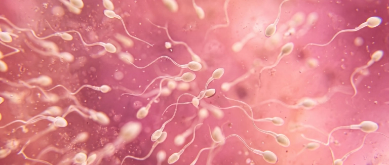 sperm-bosaltilmanin-zararlari
