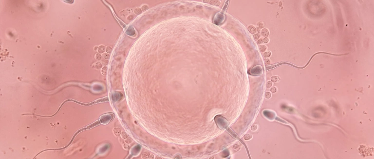 sperm-bosaltmak-zararli-mi