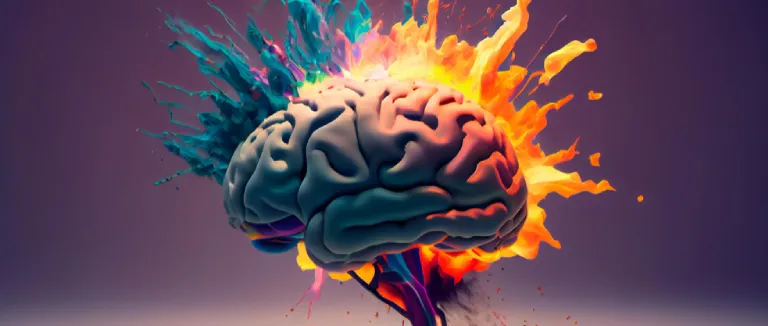 Что такое продолговатый мозг?