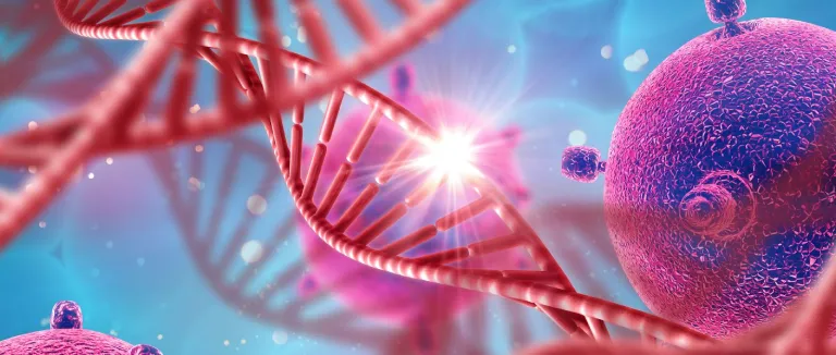 What Is The Stem Cell Treatment