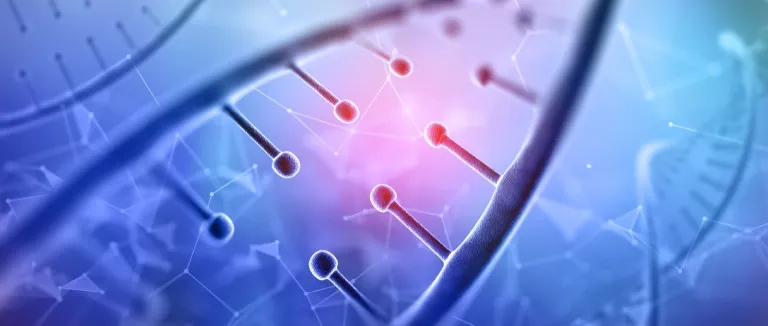 Stem Cell Autism Treatment