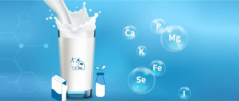 İnek Sütünün faydası
