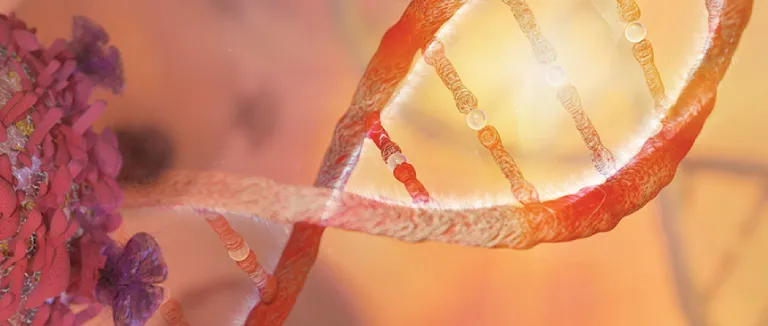 Target-Oriented Irradiation In Prostate Cancer Treatment: 4-Dimensional Brachytherapy