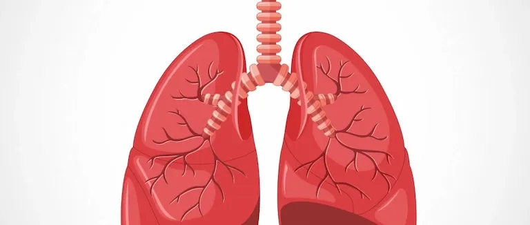 trakeostomi-belirtileri