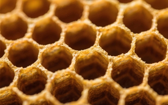 Tripofobi (Delik Fobisi) 