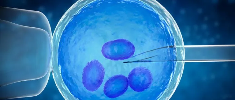 What is In Vitro Fertilization (IVF)? How is IVF Performed?