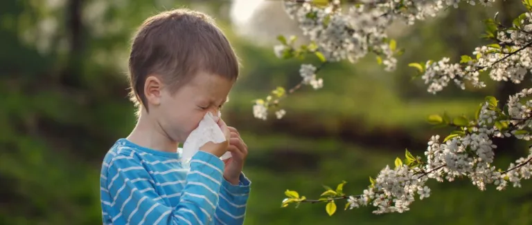 Causes of Spring Allergy