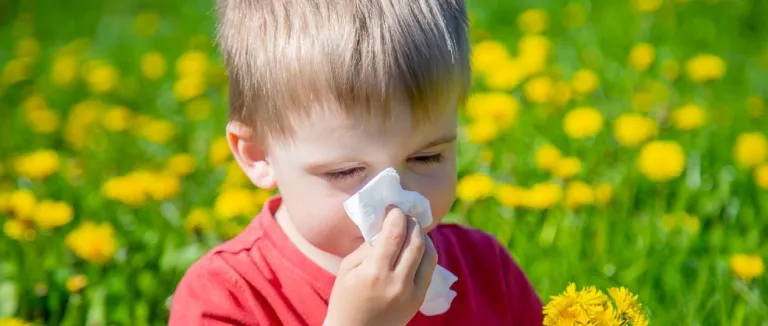 Treatment of Spring Allergy