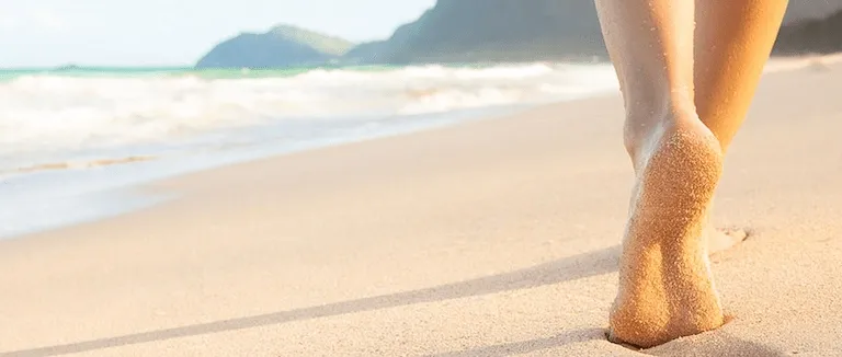 Yaz Mevsimi Yaklaşırken Varislerinizden Kurtulun