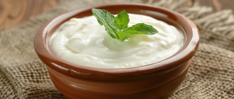 yoğurt-tarifi