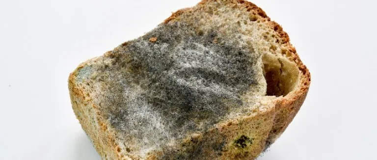 Gıda Zehirlenmesi belirtileri